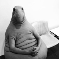 chr1splo1t (@chrisinfosec) 's Twitter Profile