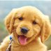 HappyGoLucky (@riddle1000) Twitter profile photo HappyGoLucky (@riddle1000) Twitter profile photo