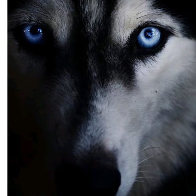 mo30_d's profile picture. 