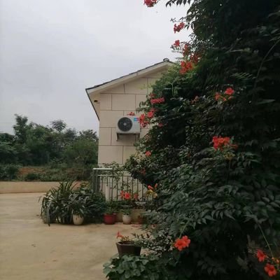 arazhuseen1's profile picture. 爱旅行，拍照。
