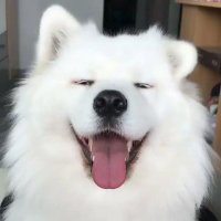God Prince (@god_prince1337) 's Twitter Profile
