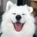 God Prince (@god_prince1337) Twitter profile photo God Prince (@god_prince1337) Twitter profile photo