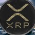 XRP Aficionado 🛡️ Profile picture