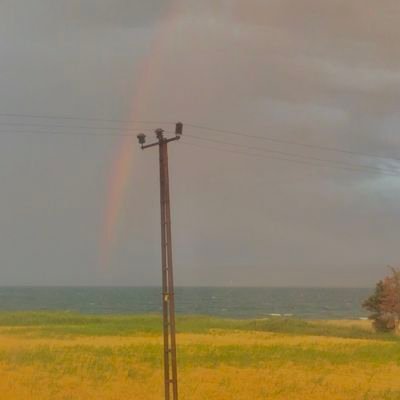 elif_defne_'s profile picture. 