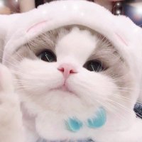 크림♡(@ccoffeencream) 's Twitter Profile Photo