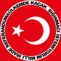 MİLLİ İRADE REFERANDUMA GİTSİN(@referandumaa) 's Twitter Profile Photo