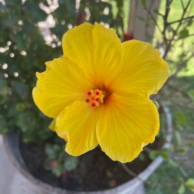 DBringle28732's profile picture. 