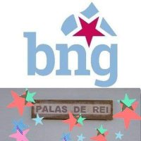BNG Palas de Rei(@BNGPalas) 's Twitter Profile Photo
