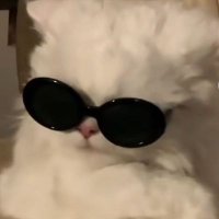 Ada (@adaaaben) Twitter profile photo