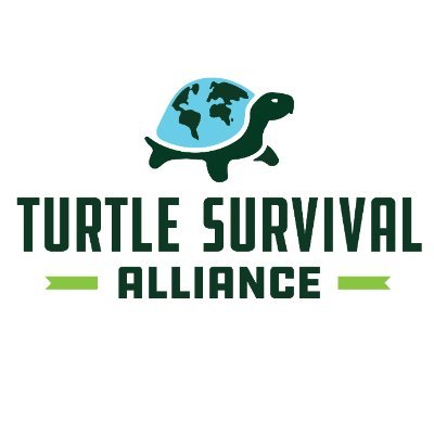Saving the World’s most Critically Endangered Turtles and Tortoises. #ZeroTurtleExtinctions #DrinkBeerSaveTurtles