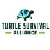 Turtle Survival (@TurtleSurvival) Twitter profile photo