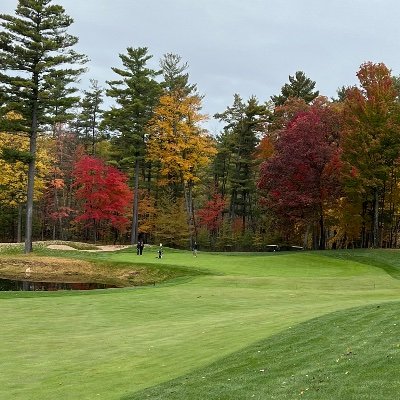 govcorpcollude's profile picture. Former F500 Sales | Pro Small Biz | Abhor Gov and Big Colluding | Interests: Regenerative Ag, Golf | Guns n ammo | 🇺🇸🇩🇪