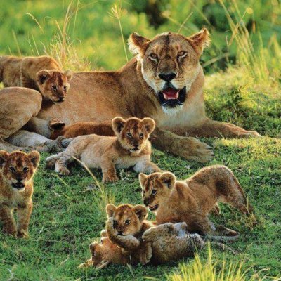 grushka_lynn's profile picture. Self-employed Independent Critical Thinker!
All opinions shared are formed personally by READING.
🇨🇦