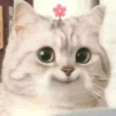 ijustwannasuihey ✿さんのプロフィール画像