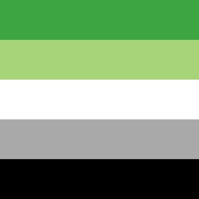 i make fun and aesthetic flags|requests open|run by @aroacespidey