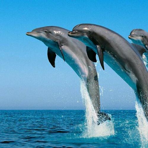 Smiley2US's profile picture. Healthy living - mind, soul & body.