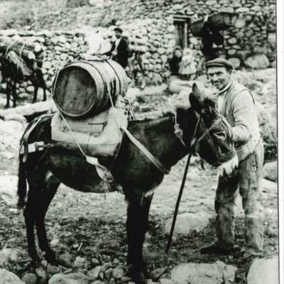 M2 Master civilisations cultures et sociétés @upvd1 Les voituriers de Fontpédrouse dans les Pyrénées de la fin du XVIIIe siècle à 1910