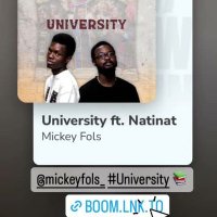 Stream University By Mickey Fols(@AgentJoe_NG) 's Twitter Profile Photo