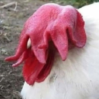 KyrozD476's profile picture. Wena po, llámenme Kyroz 🗿🍷