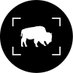The BFLO Store (@thebflostore) Twitter profile photo The BFLO Store (@thebflostore) Twitter profile photo