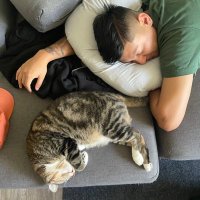 Ulee (@ulises_153) 's Twitter Profile