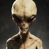 Bigwarboy4's profile picture. 