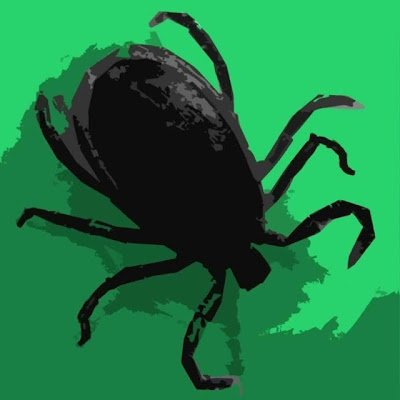 KeneGames's profile picture. Producer and manufacturer of board games