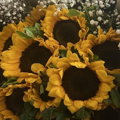 FarihaNeil's profile picture. Prepare n Prevent
Rather Repair n Repent