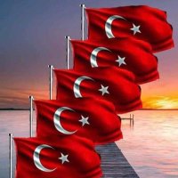 hatice sultan üstün (@hatice7374) 's Twitter Profile