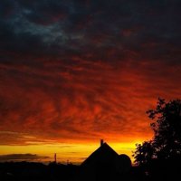 🖤💛🇩🇪Oldschool 🇩🇪231🖤💛, 🏒🏈 (@09oldschool) 's Twitter Profile