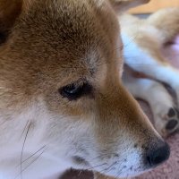 石井健司 (@yhrpzt7tag40691) 's Twitter Profile Photo