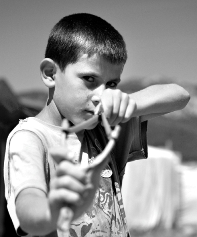 m_tarhan_'s profile picture. 