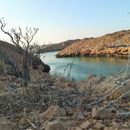 من كسر لنا غصناً سنقتلع شجرته