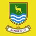 Bengeo Cricket Club (@BengeoCC) Twitter profile photo