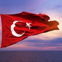Papatya (@ooo_papatya34) Twitter profile photo