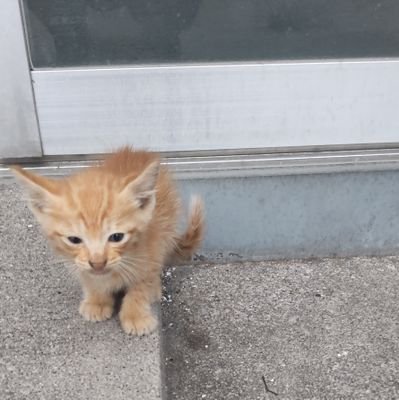 sVeJwwGAVbNueMd's profile picture. 