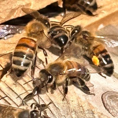 darrenmorrisse2's profile picture. mental health awareness.. it's good two talk 😊😊