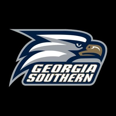 Georgia Southern Eagles, Atlanta Hawks, Braves,and Falcon's