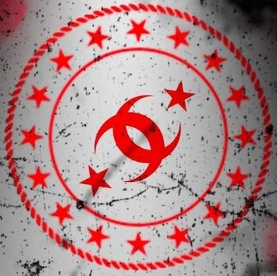 Türk Gücü Birliği 🇹🇷