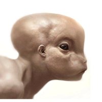 Vincenzo Natali (@vincenzo_natali) 's Twitter Profile Photo Vincenzo Natali (@vincenzo_natali) 's Twitter Profile Photo