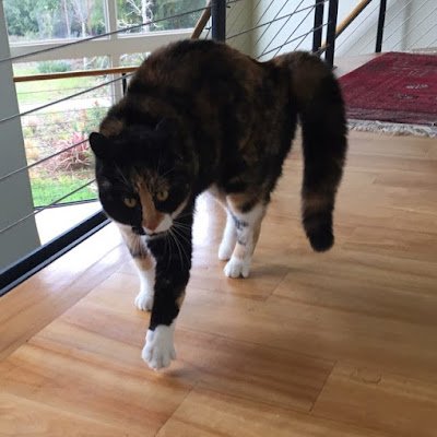 IngaRuyter75774's profile picture. 