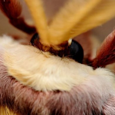 Mothさんのプロフィール画像