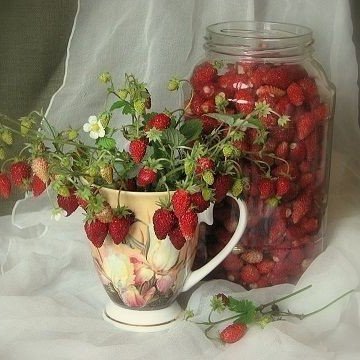 ¡hola! es un gusto en conocerte, espero podamos conocernos ,ten un excelente día 💗