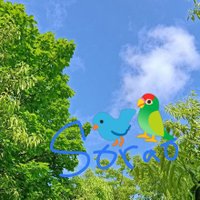 そらお🦜(@sorao1212) 's Twitter Profile Photo