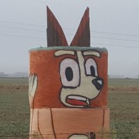 ForageUse (@forageuse) 's Twitter Profile