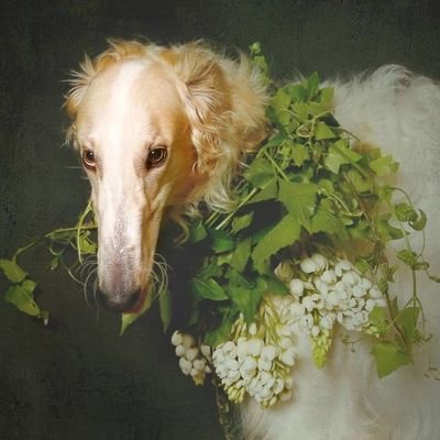 mmmmToday2's profile picture. หลุม