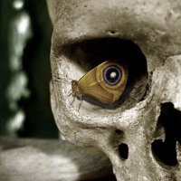 Devil (@irvingronaldos) 's Twitter Profile