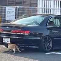 ぼん (@bbbboojzx) Twitter profile photo