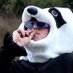 lol (@veniino) Twitter profile photo lol (@veniino) Twitter profile photo