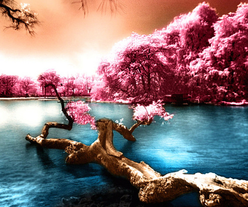 A dream diary. Main parts of dreams remembered tweeted. Dreams do not represent the views of the dreamer.